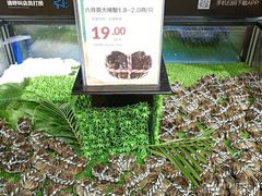 -盒马鲜生(曜一城店)