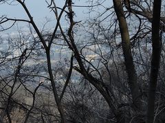 -丹东丛炟海鲜烧烤(江艺路店)