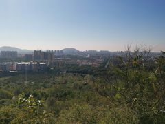 -府君山公园