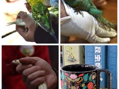 -上海大自然野生昆虫馆(东方明珠·爬宠昆虫探索中心)