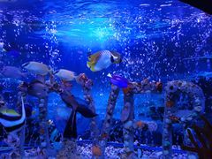 -太平洋海底世界