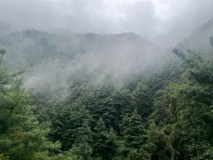 -苍山感通索道