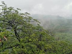 -照金香山旅游景区