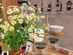 -ZING COFFEE 镜咖啡