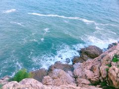 -广东惠东海龟国家级自然保护区