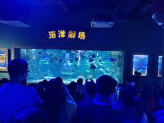 -南昌海洋公园