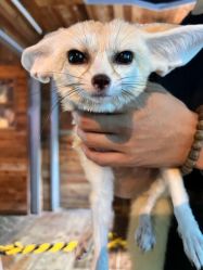 -Zoolung Zoolung动物主题公园(海信广场店)