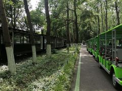 -合肥滨湖国家森林公园