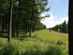 -塞罕坝国家级自然保护区