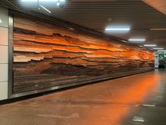 -艾溪湖湿地公园