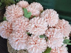 -LYFATTI 莱芙缇(赣水路店)