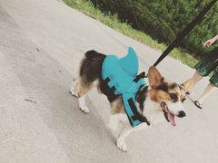 -将军关探险漂流