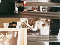 -将太无二·蓝鳍放题·北美寿司(领展购物广场中关村店)