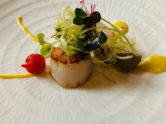 -蝶舍·MAISON PAPILLON