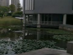 -安徽大学(磬苑校区)