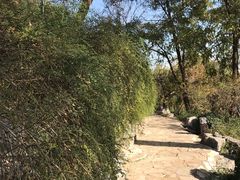 -郭守敬纪念馆