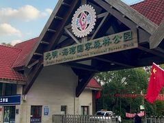 -上海海湾国家森林公园