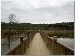 -清溪大王山森林公园