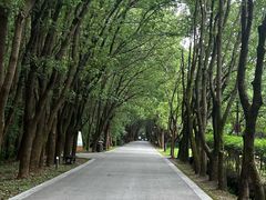 -同里国家湿地公园