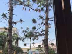 -海岛八号龙虾烧烤田鸡(蓝天路总店)
