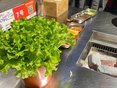 -马路牙子烧烤音乐酒馆(望京店)
