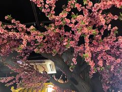 -应天大明王朝·南京菜(中山陵店)