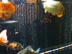 -长赢养生(平度店)