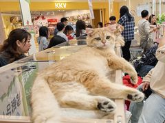 -万达广场(巴南店)