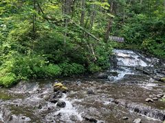 -峡谷浮石林景区