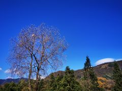 -塔川景区