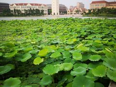 -浙江大学(海宁国际校区)