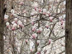 -徐家汇源景区-衡山公园