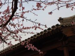 -春风习习