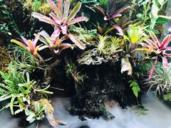 -昆明花之城豪生酒店·美食广场