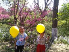 -北戴河圣蓝海洋公园