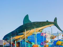 -海合安武汉极地海洋公园