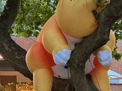 -西安电影制片厂