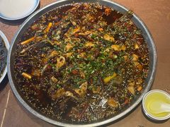 -正宗来凤鱼璧山兔(花卉园店)