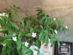 -zarah(鼓楼店)