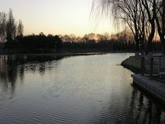 -大兴滨河森林公园