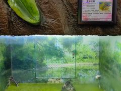 -上海大自然野生昆虫馆(东方明珠·爬宠昆虫探索中心)