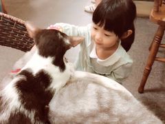 -猫色咖啡·猫咖