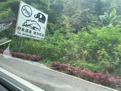-野象谷景区