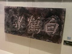 -白鹤梁水下博物馆