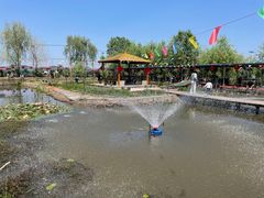 -同銮特种养殖场·龙虾垂钓