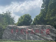 -东平国家森林公园