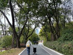 -云溪植物园