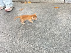 -黄埔古港