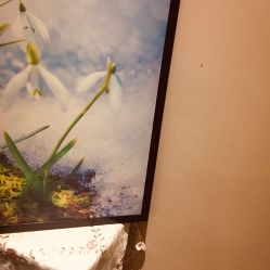 -时尚殿堂·颜SPA