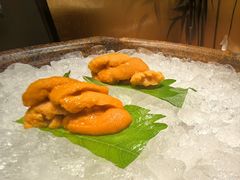 -月龍吟(朝龙汇店)